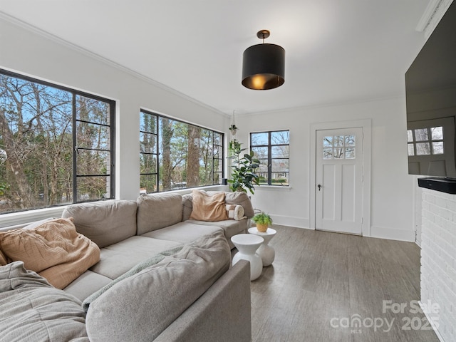 living room featuring ornamental molding and hardwood / wood-style floors