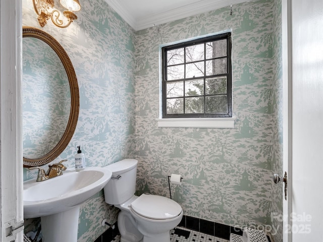 bathroom with ornamental molding and toilet