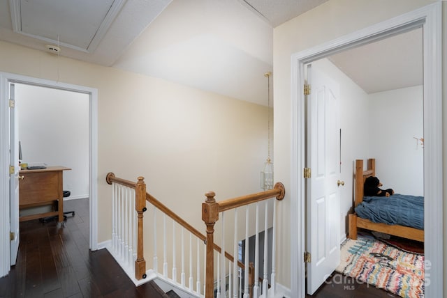 corridor with dark hardwood / wood-style floors