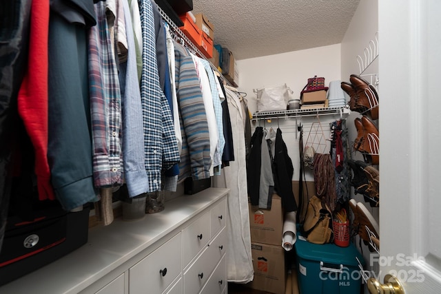 view of walk in closet