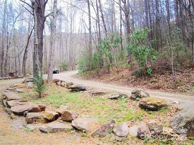 165 Wagon Wheel Way, Canton NC, 28716 land for sale