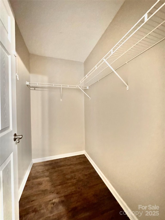 spacious closet featuring dark wood finished floors