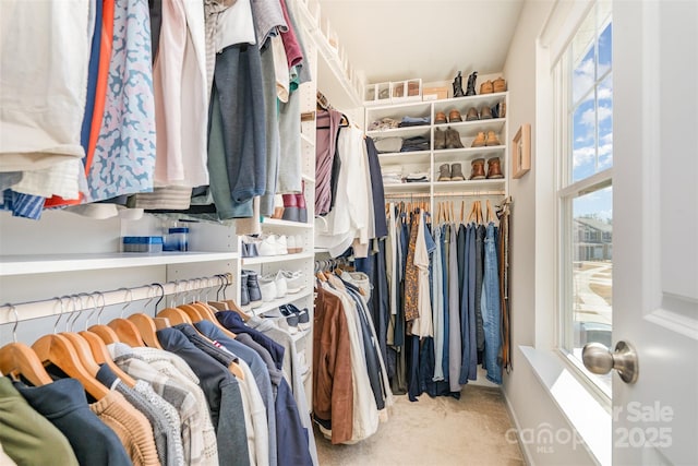 walk in closet with carpet floors