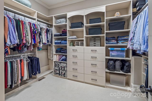 spacious closet featuring light colored carpet