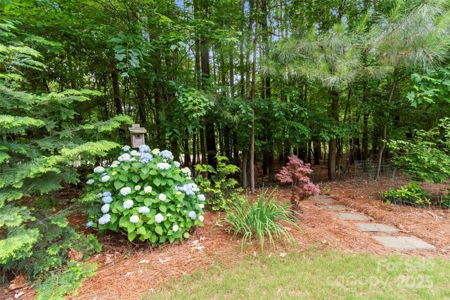 16824 Ashton Oaks Dr, Charlotte, NC 28278 - photo 48