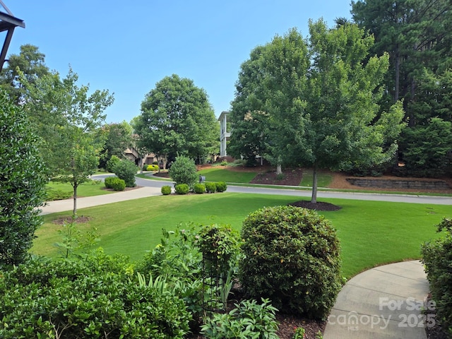 16824 Ashton Oaks Dr, Charlotte, NC 28278 - photo 3