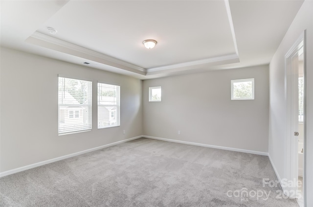 spare room with light colored carpet, ornamental molding, and a raised ceiling