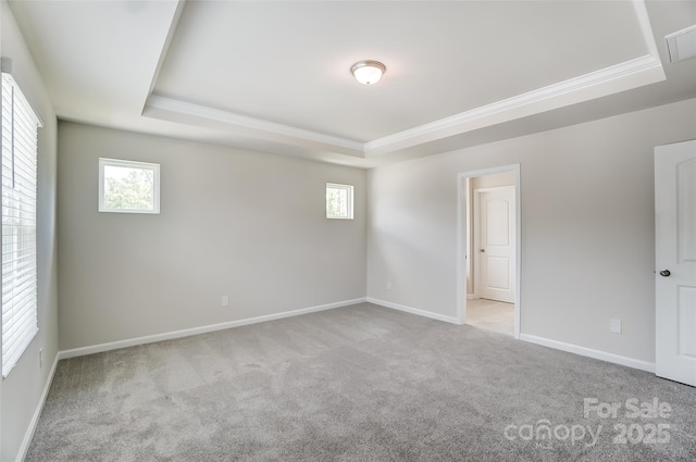 spare room with light colored carpet and a tray ceiling