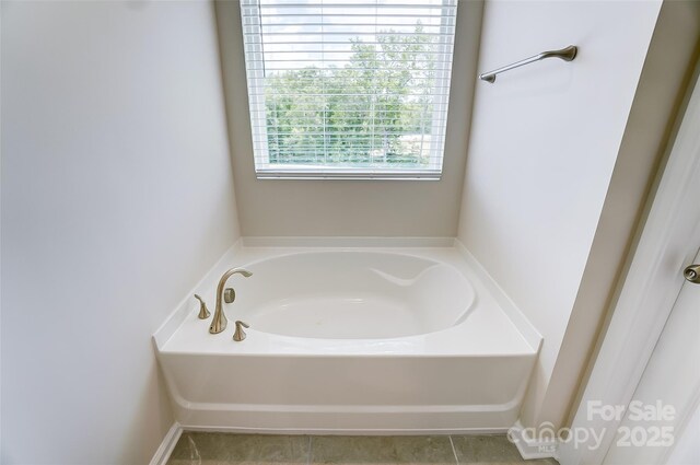 bathroom featuring a washtub