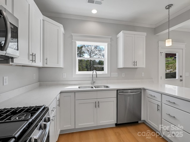 kitchen featuring appliances with stainless steel finishes, a sink, ornamental molding, and a wealth of natural light
