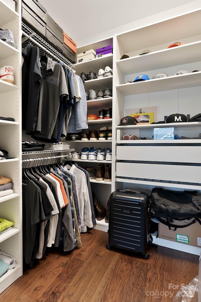 walk in closet with dark hardwood / wood-style flooring