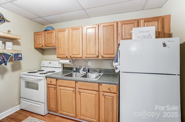 kitchen with light hardwood / wood-style flooring, sink, white appliances, and a paneled ceiling