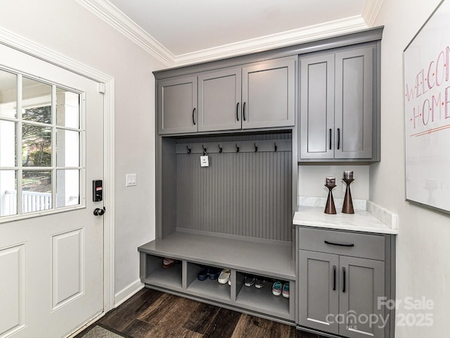 mudroom with crown molding and dark hardwood / wood-style floors