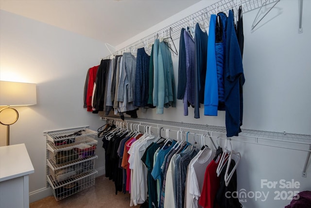 walk in closet featuring carpet flooring