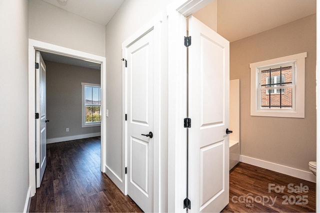 hallway featuring dark hardwood / wood-style floors