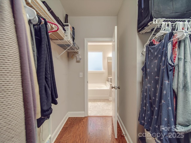 walk in closet with wood-type flooring