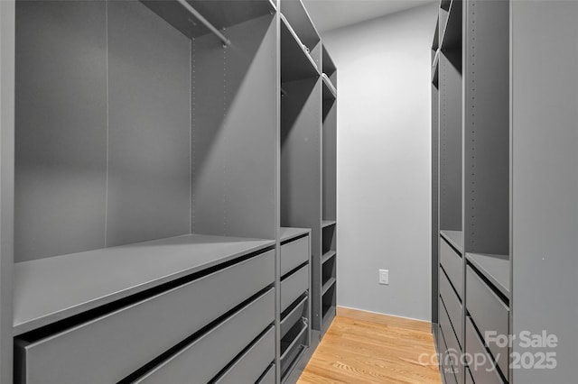 walk in closet featuring light hardwood / wood-style flooring