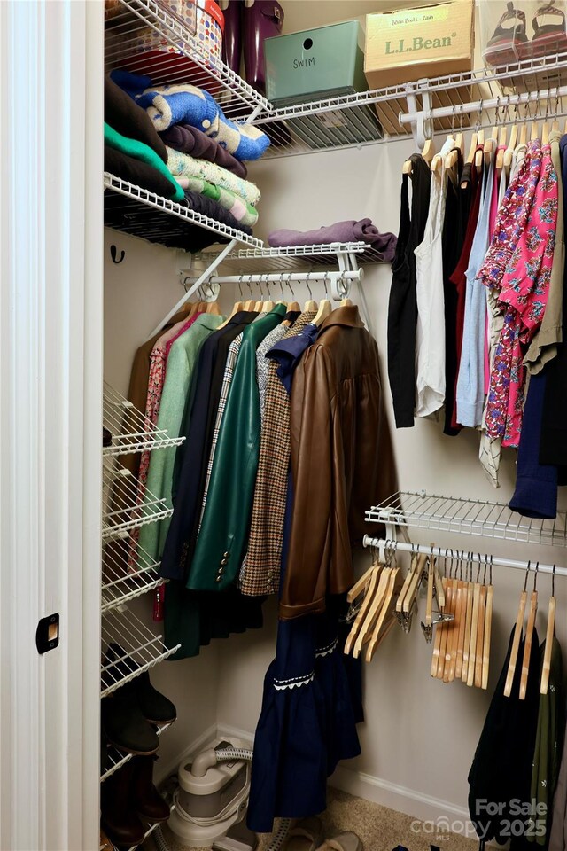 14 Malcolm Ct, Candler, NC 28715 - view of spacious closet