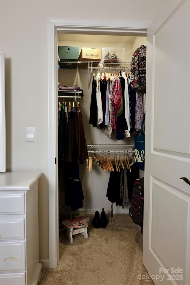 14 Malcolm Ct, Candler, NC 28715 - view of closet