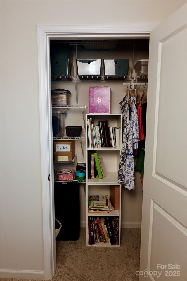 14 Malcolm Ct, Candler, NC 28715 - view of closet