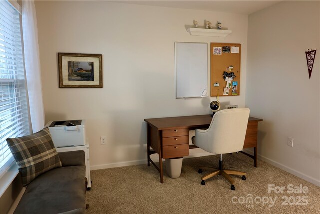14 Malcolm Ct, Candler, NC 28715 - carpeted home office with baseboards