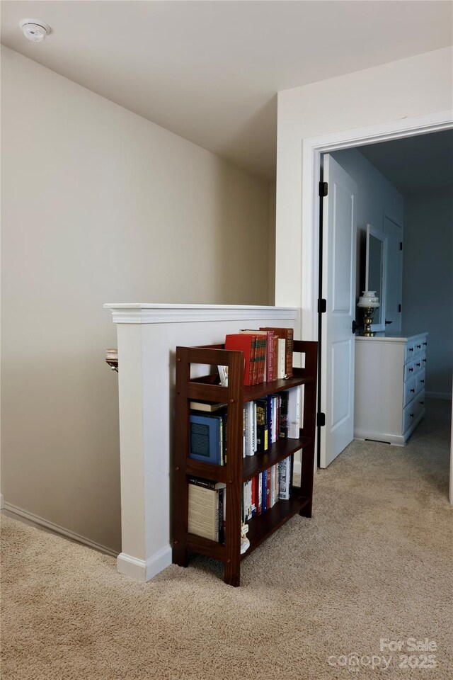 14 Malcolm Ct, Candler, NC 28715 - hall with carpet and baseboards
