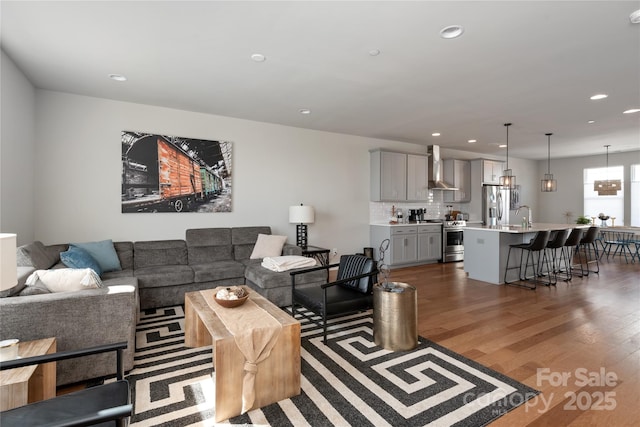 living room featuring dark wood-type flooring and sink