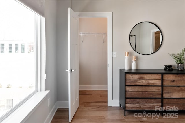 bathroom with wood-type flooring