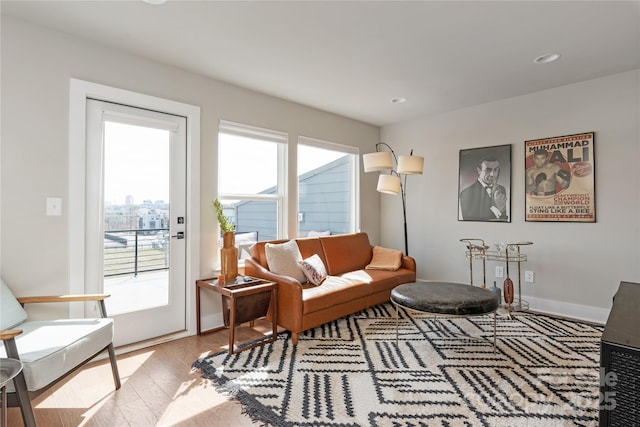 living room with hardwood / wood-style floors