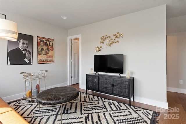 living room with dark hardwood / wood-style floors