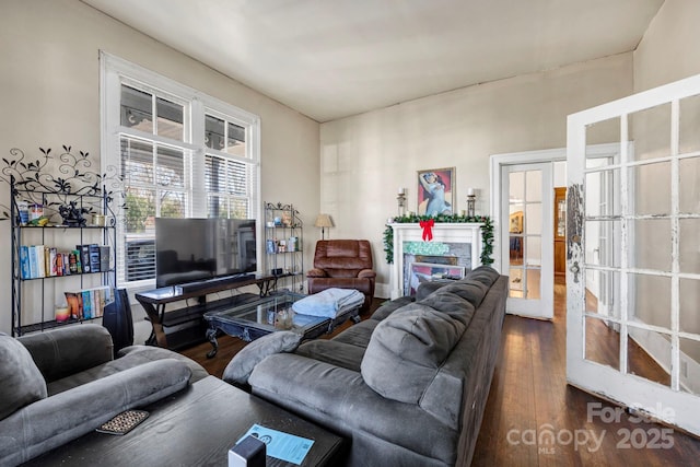 living room with wood-type flooring