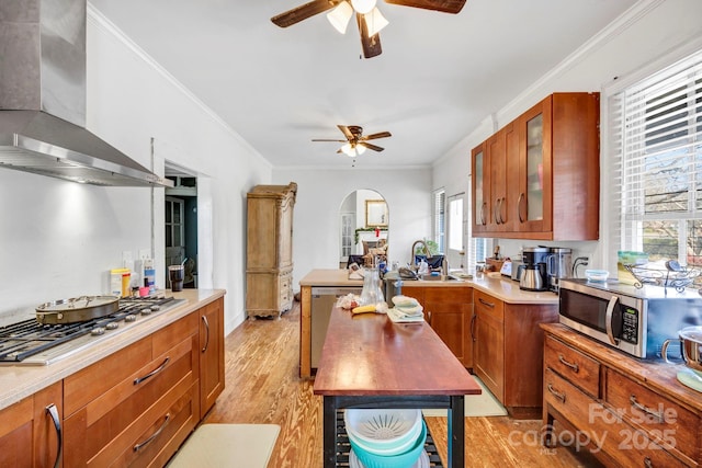 kitchen with stainless steel appliances, ornamental molding, wall chimney range hood, and light hardwood / wood-style flooring