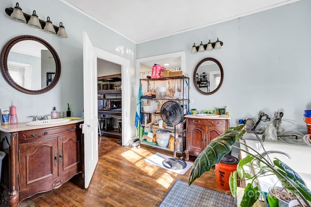 bathroom with crown molding, wood-type flooring, and vanity