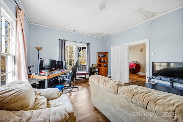 office featuring hardwood / wood-style flooring and ornamental molding