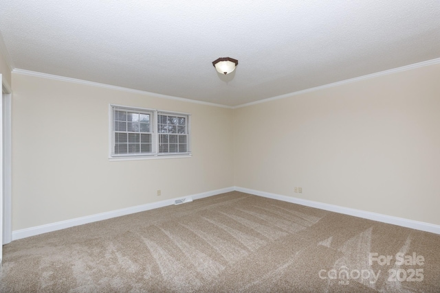 carpeted empty room featuring crown molding and a textured ceiling