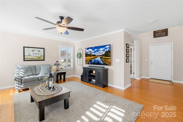 living room with ceiling fan and wood-type flooring