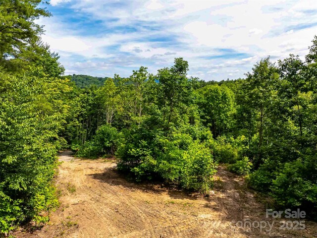 27 Fig Tree Ln Lot 7, Asheville NC, 28803 land for sale