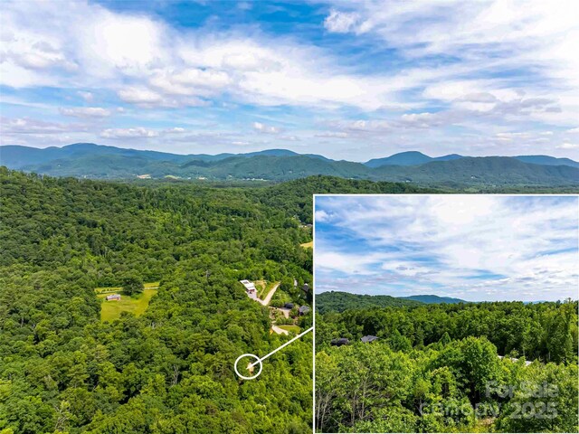 27 Fig Tree Ln Lot 7, Asheville, NC 28803