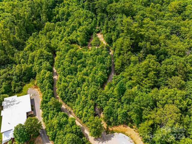 27 Fig Tree Ln Lot 7, Asheville, NC 28803
