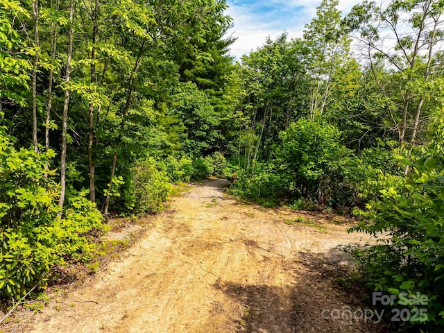 27 Fig Tree Ln Lot 7, Asheville, NC 28803