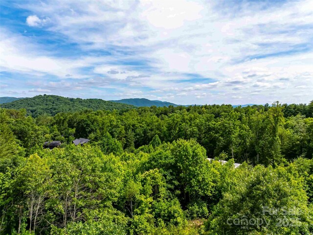 27 Fig Tree Ln Lot 7, Asheville, NC 28803