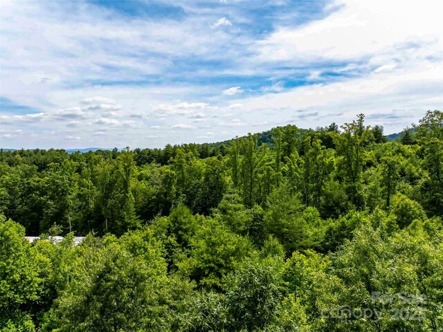 27 Fig Tree Ln Lot 7, Asheville, NC 28803