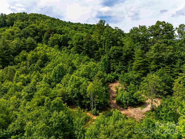 27 Fig Tree Ln Lot 7, Asheville, NC 28803