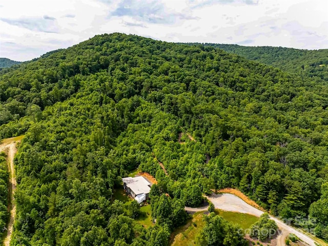27 Fig Tree Ln Lot 7, Asheville, NC 28803