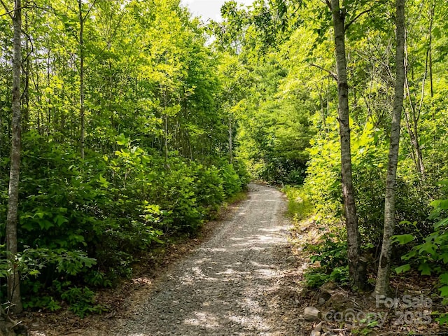 27 Fig Tree Ln Lot 7, Asheville, NC 28803