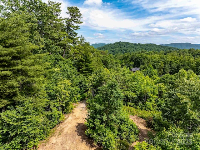 27 Fig Tree Ln Lot 7, Asheville, NC 28803