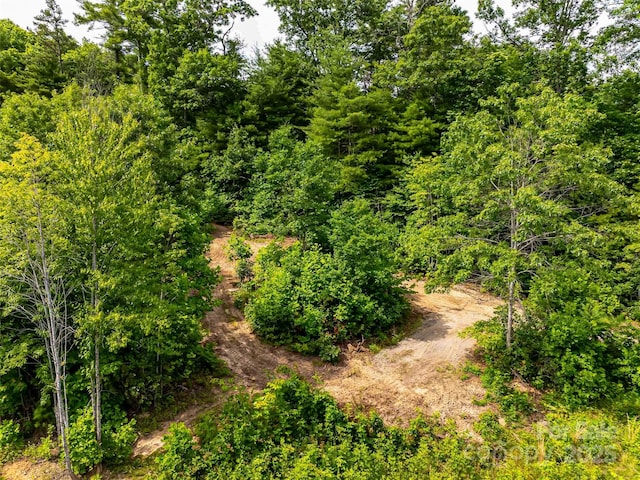 27 Fig Tree Ln Lot 7, Asheville, NC 28803
