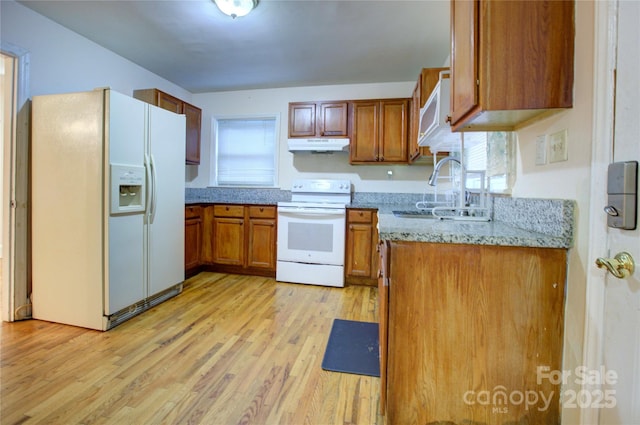 kitchen featuring sink, light stone counters, light hardwood / wood-style flooring, a wealth of natural light, and white appliances