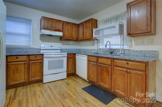 kitchen featuring sink, light stone counters, a healthy amount of sunlight, white appliances, and light hardwood / wood-style flooring