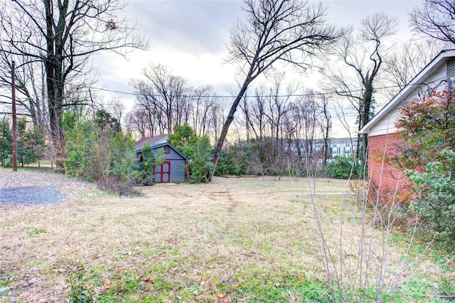 view of yard with a storage unit